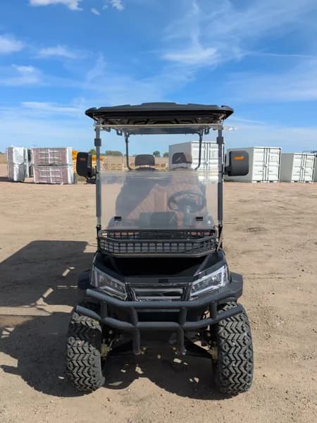 New 6 Person Luxury Electric Golf Cart SDLGC100 (Assembled)(Black), rear view