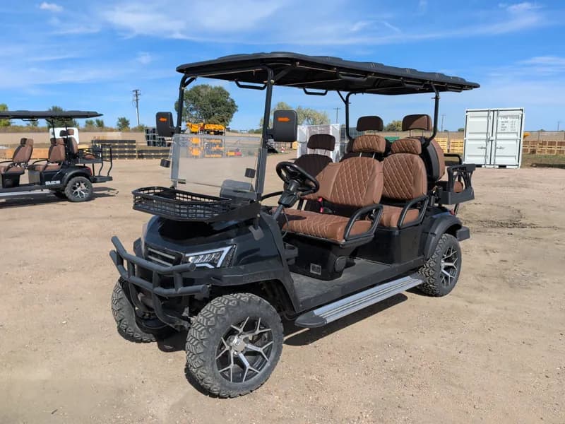 New 6 Person Luxury Electric Golf Cart SDLGC100 (Assembled)(Black), side view